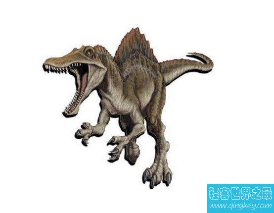 白垩纪杀伤力最强的恐爪龙，体型虽小却能敌过霸王龙