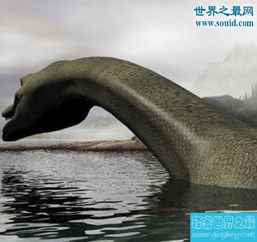 青海湖水怪揭秘，疑是远古动物蛇颈龙