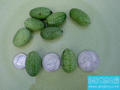 世界最小西瓜佩普基诺，只有3厘米大(1口10个)