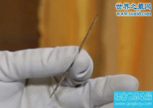 世界上最古老的针，用鸟骨制成(距今5000年)
