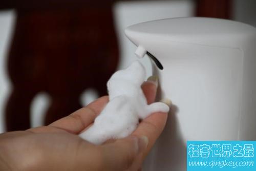 十大免洗洗手液品牌排行榜，免洗洗手液哪个牌子好？