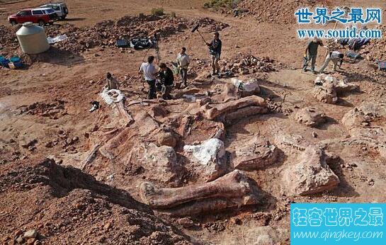 世界上最大的恐龙化石，牧羊人发现巨型骨头(长40米)