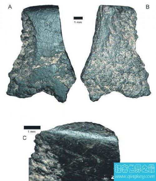 世界上最古老的斧头，5万年前的玄武岩石头斧头