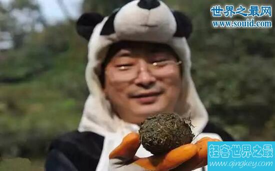 世界最贵的茶叶，44万一公斤的熊猫茶(别上当)