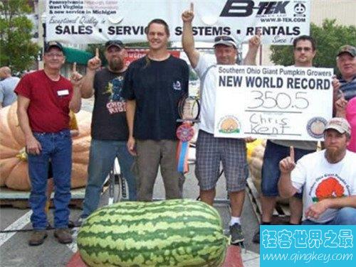 世界上最大西瓜有多重 安徽种出168斤的大西瓜