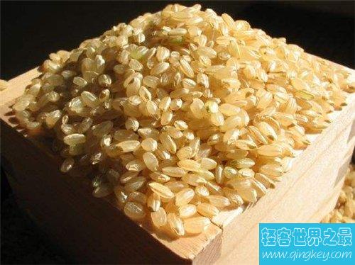 糙米的功效与作用介绍 糙米的做法及食用禁忌