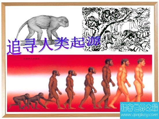 人类的起源神话故事，早期猿人净化发展到如今