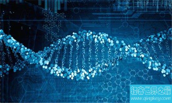 基因检测公司，目前国内最新基因公司排行榜