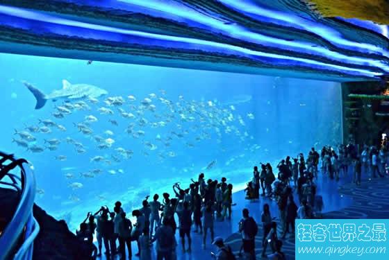 世界上最大的水族馆，珠海长隆海洋王国(门票350元)