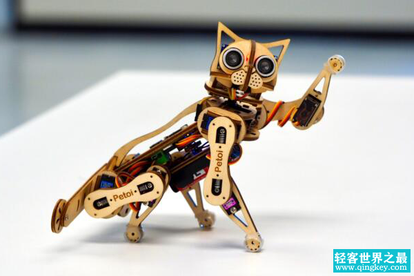 世界上最快的机器猫：Nybble，身高仅14厘米(能跑能跳)