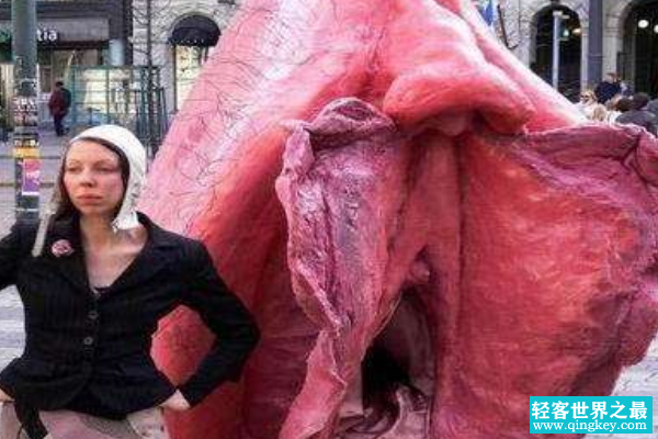 世界上最大的女性生殖器:阴周48.26厘米(生23.6斤巨婴)
