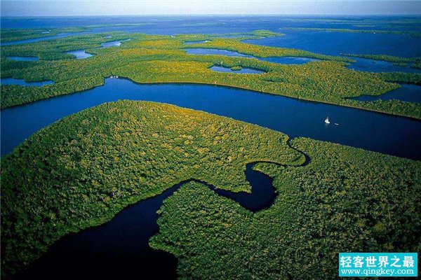世界上最大的沼泽地 潘塔纳尔沼泽,已列入自然遗产名单