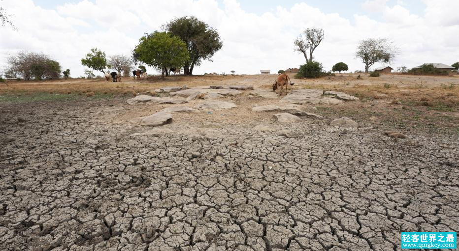 干旱区面积最大的大洲 常年干旱自然灾害多（非洲）