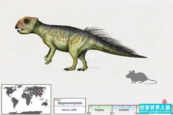 小型角龙类:戈壁角龙 未成年头骨化石仅3.5厘米