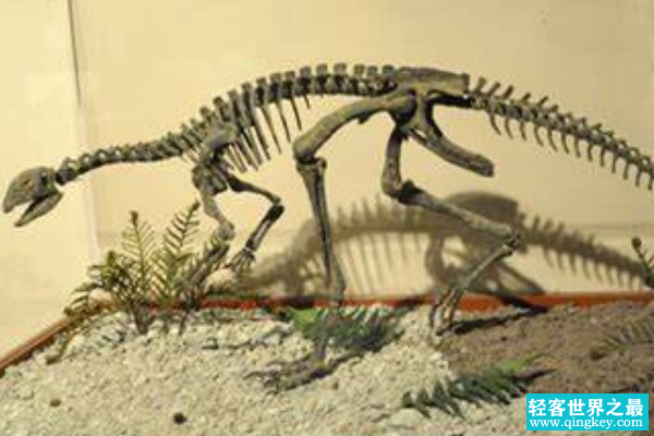 奥斯尼尔龙:美国小型恐龙(长1.4米/仅出土一块股骨)