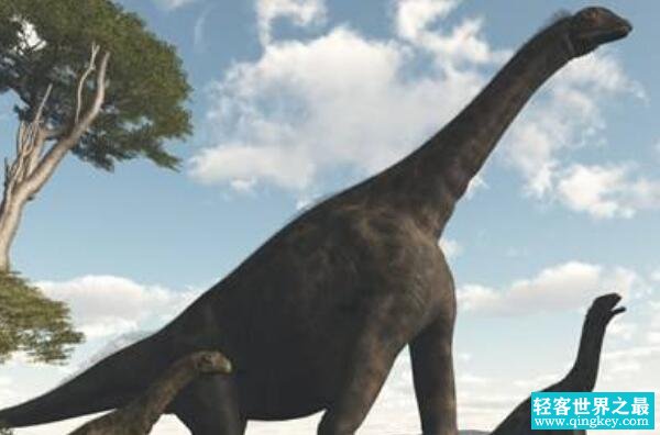 图里亚龙：超巨型食草恐龙（长30米/欧洲最大的恐龙）