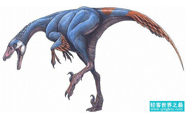 中国鸟脚龙：长1.1米/最小的肉食性恐龙（距今1亿年前）