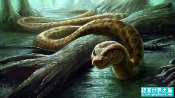史前地球6大霸主 泰坦巨蟒史上最长巨蛇可达12米