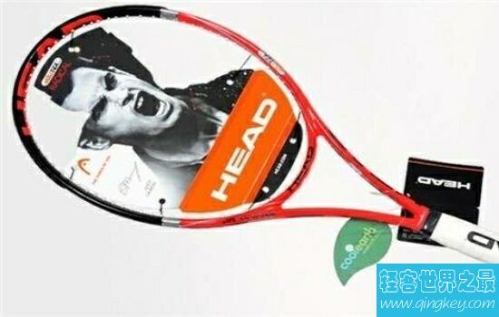 网球拍十大品牌排行榜，网球拍哪个牌子好?
