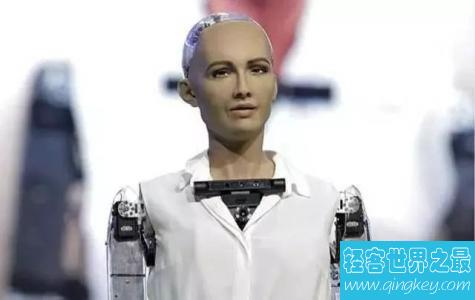 世界上第一个有身份的虚拟机器人，曾扬言毁灭人类。