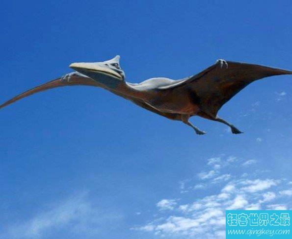最大飞行生物“冰龙”属新物种，翼展超10米