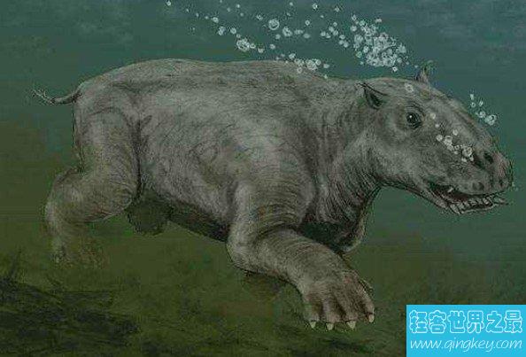 史前最大的青蛙，长达5米,竟以恐龙为食