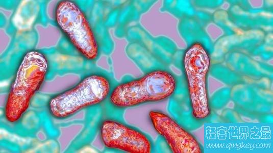 世界上最危险的10种细菌，第二种就在人体内！
