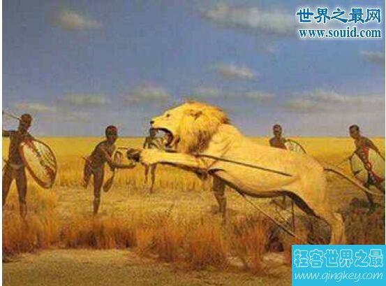 非洲游牧民族马赛人，把猎杀狮子当做为成人礼