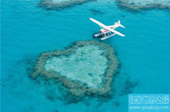 世界上最大的珊瑚礁群，简直美不胜收