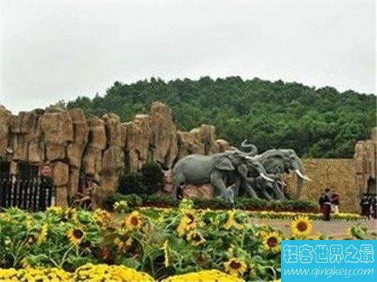 世界十大最著名的动物园排行榜，中国仅有一个上榜
