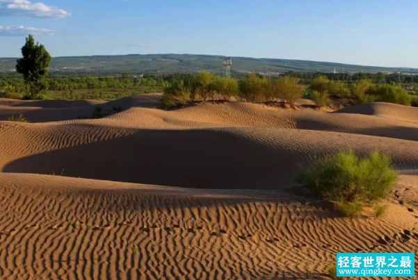 世界上第一个被消灭的沙漠:毛乌素，绿植93%(塞上绿洲)