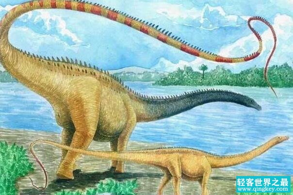 世界上最大的恐龙:地震龙，长36米，重40吨(植食性恐龙)