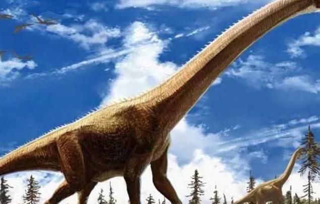 史上最大的恐龙是什么 地震龙体长32到36米 (体型庞大)