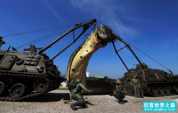 发现世界上最大的蛇，四川大蛇50米（福州惊现97米大蛇）