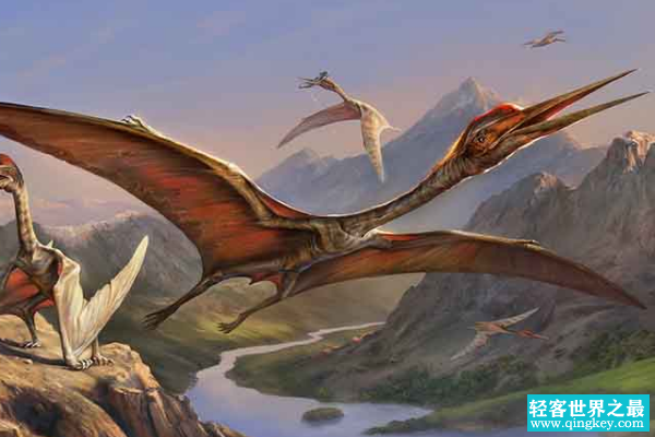 诺氏风神翼龙:体型最大的飞行爬行类生物(翼展12米)