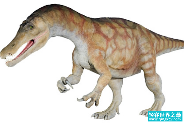 澳洲棘龙:澳洲出土的第一种棘龙科(长9米/疑名恐龙)