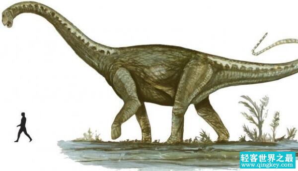 马拉圭龙：阿根廷超巨型恐龙（长25米/距今8900万年前）