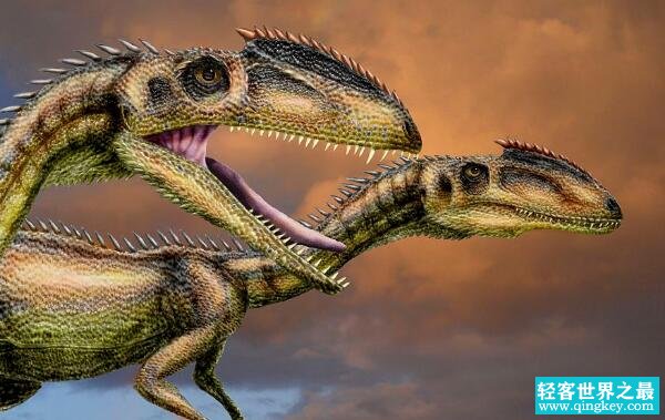 恶魔龙：阿根廷中型食肉恐龙（长5米/距今2.2亿年前）